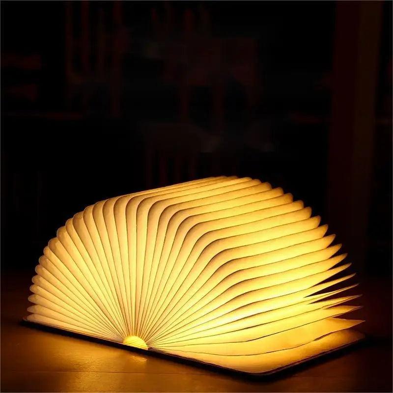 lampe livre lumineux